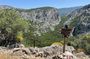 Tiscali village trekking tour from Oliena with local food tasting