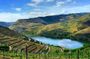 Douro Valley full-day tour with wine tasting and a boat trip