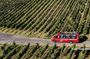 24-hour Stuttgart hop-on hop-off bus winetour