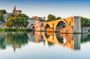 Combined entrance tickets for Palais des Papes and Pont d'Avignon