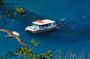 Fernando de Noronha cruise