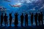 Tickets to ZooQuarium in Tampa