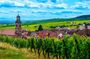 Alsace villages half-day shared  tour from Colmar
