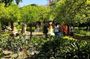 Palacio de Dueñas Guided Tour