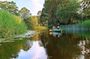 Guided day-trip in the wilderness including bog shoeing and canoeing