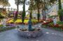 Capri and Anacapri guided tour with optional cruise