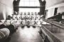 Historical and artistic visit of the cellars of the Canard Duchêne House