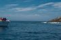 Palomino Islands Boat Tour