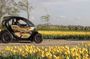 Lisse tulip fields self-drive tour for two people with audio guide