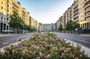 Discover Milan's photogenic places with a local