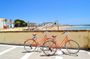 Cadiz guided bike tour