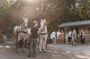 Secrets of the Viennese Fiaker and carriage ride in Vienna