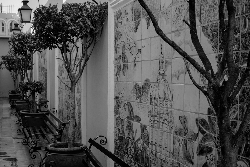 Experience comfort and charm at La Morada, your ideal sanctuary in the heart of San Miguel de Allende, with easy access to vibrant culture and attractions.